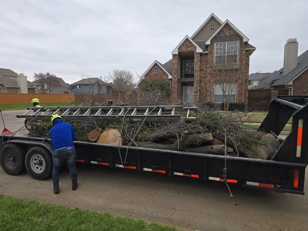 Expert Tree Removal with proper safety equipment in Tupelo